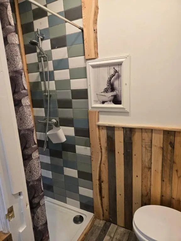 a bathroom with a shower and a toilet and a sink at The Wee Bothy in Tain