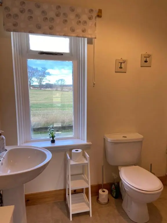 a bathroom with a toilet and a sink and a window at Dalvey Ploughmans Cottage in Forres
