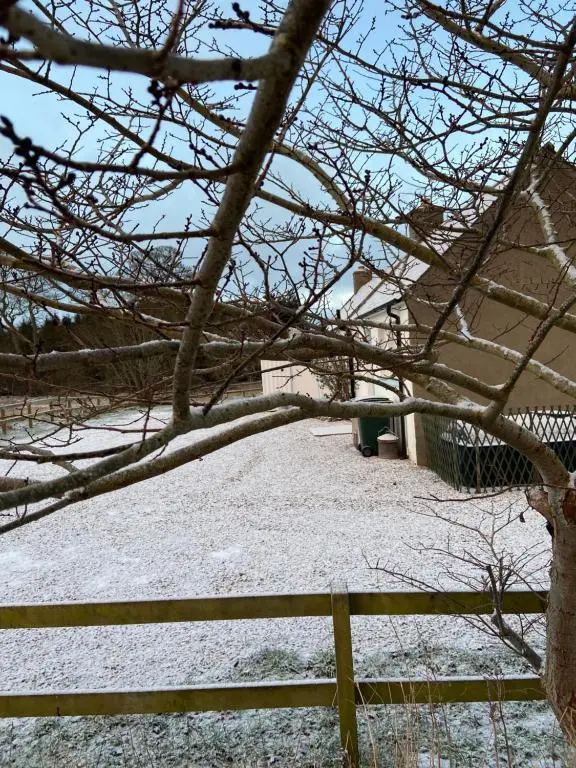 a fence covered in snow next to a tree at Dalvey Ploughmans Cottage in Forres