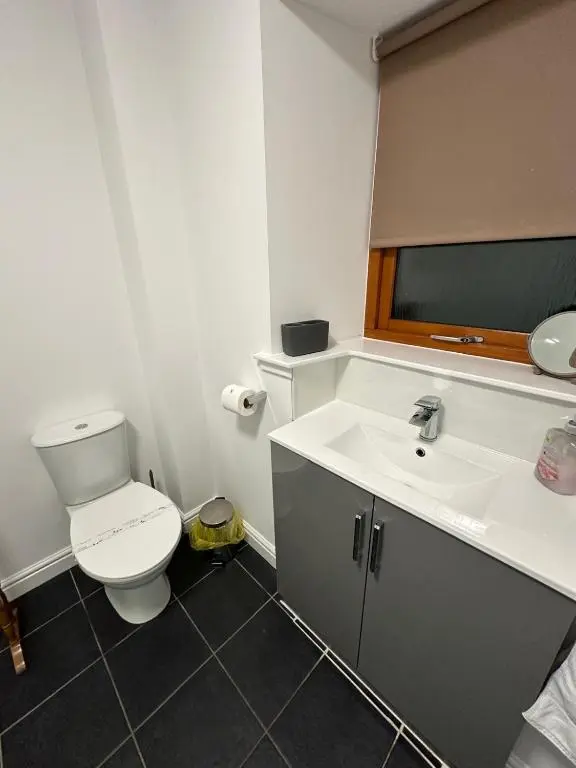 a bathroom with a toilet and a sink at Pebble Cottage in Golspie
