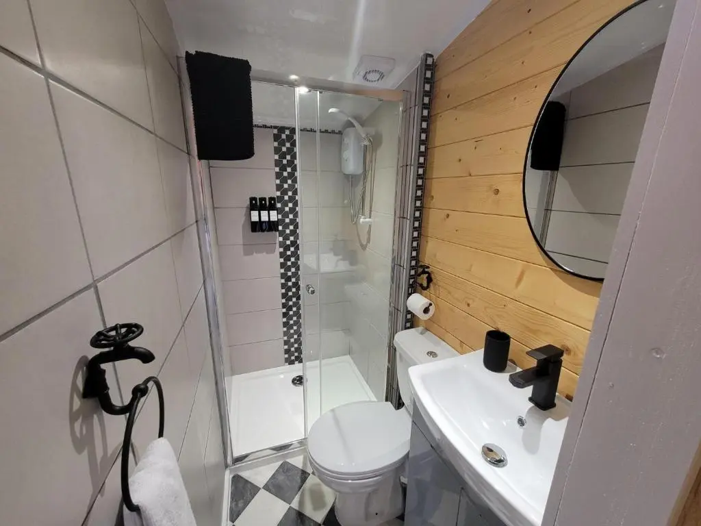 a bathroom with a sink and a toilet and a mirror at Fairvine Cabin Fort Augustus Mtn View Pet Friendly in Fort Augustus