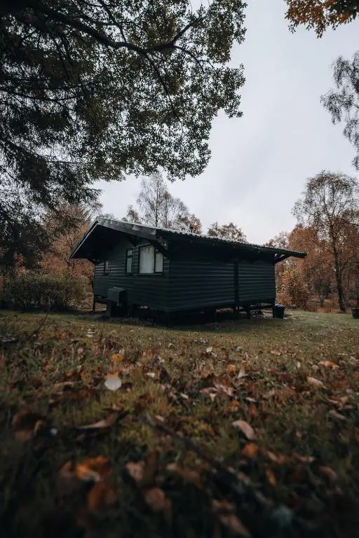 a small cabin in a field with a tree at Ancarraig Lodges in Drumnadrochit