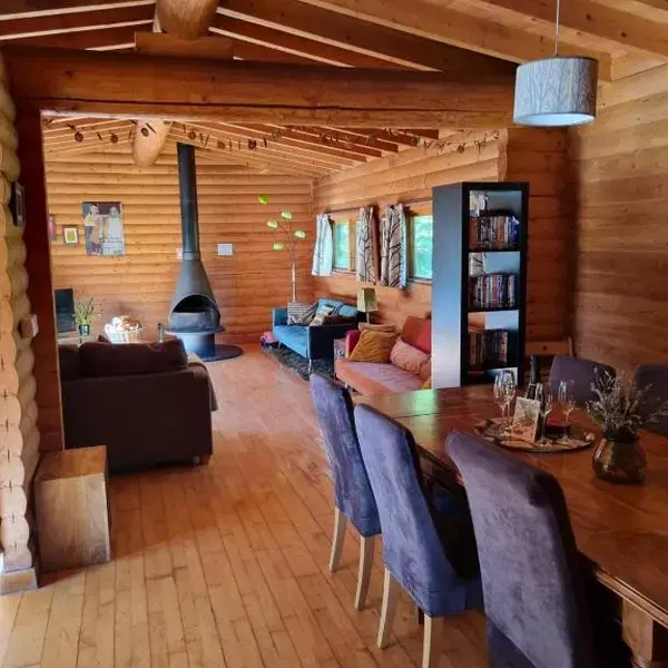 Our Log House in the woods