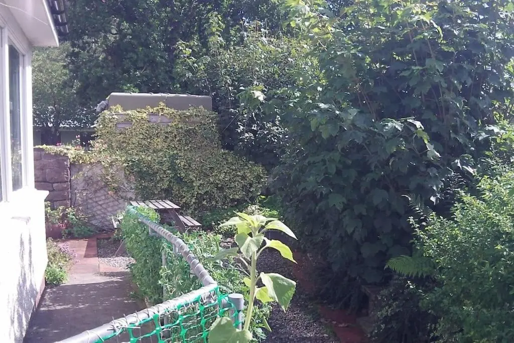 a garden with a bench next to a hedge at Taigh Sona easy access apartment with double bed in Ullapool