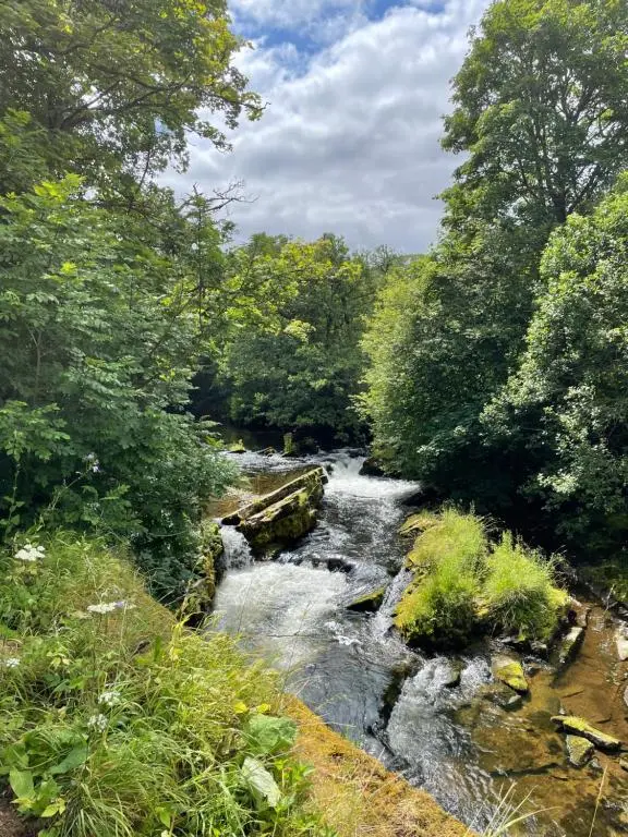 a stream of water with trees in the background at Falls Cottage in Glenlivet