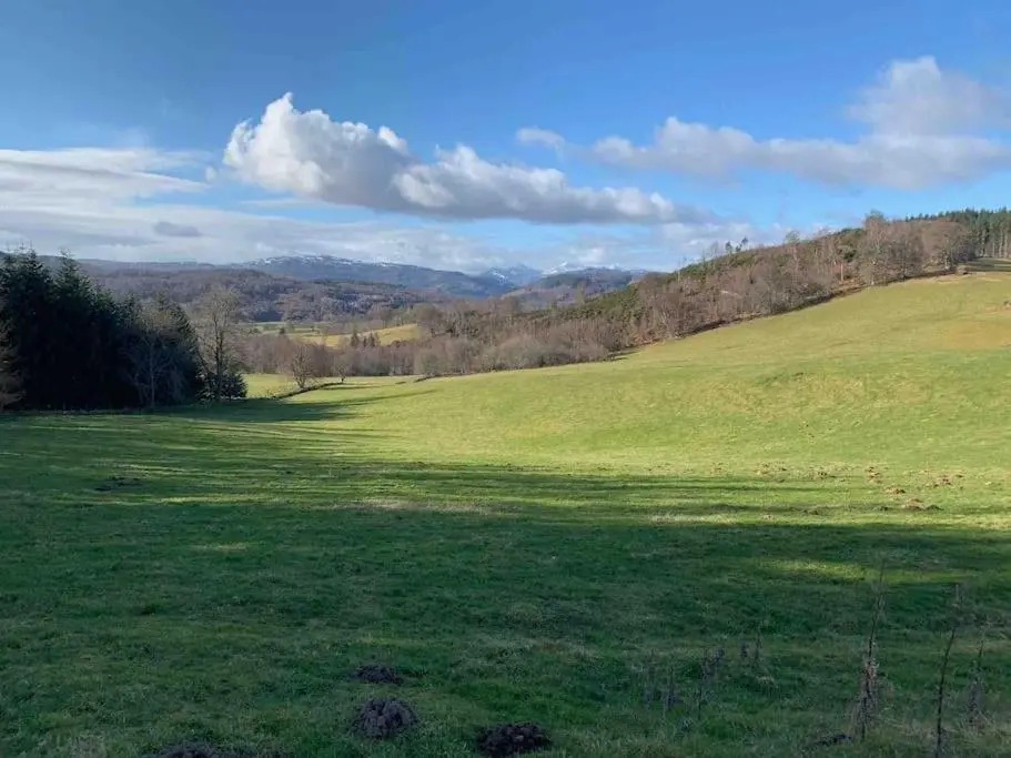 a field of green grass with trees and mountains in the background at Bright, contemporary house & large private garden in Strathpeffer
