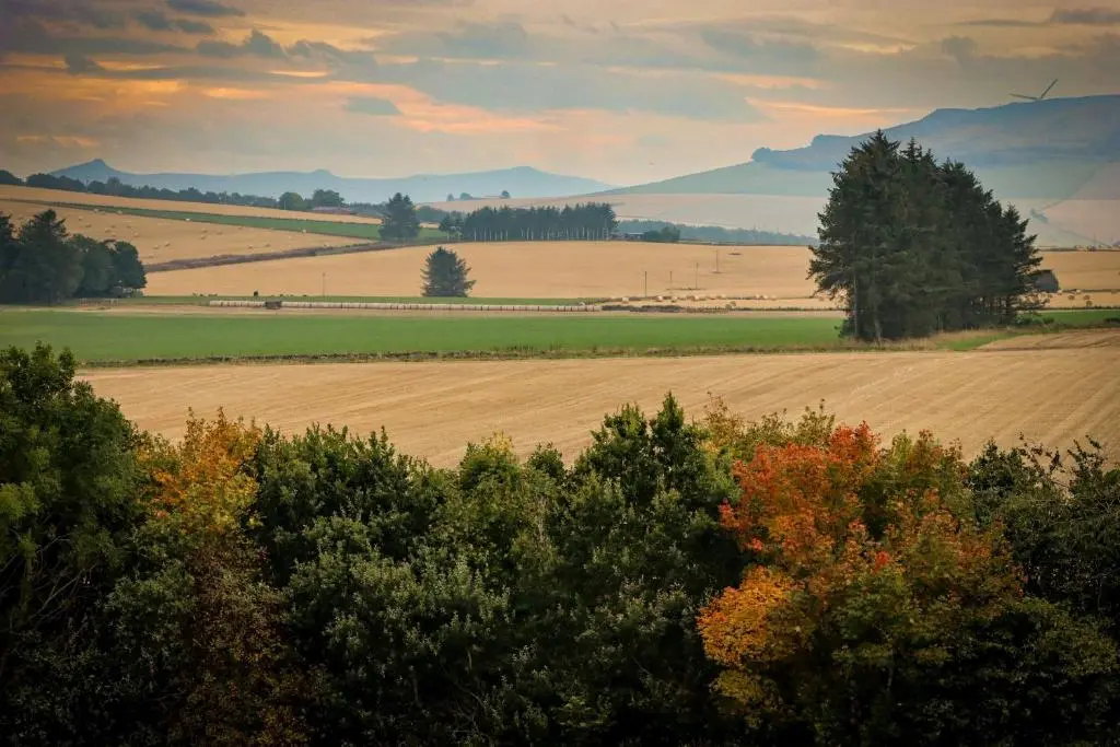 a field with trees in the foreground and a field with a field at Bennachie Lodge in Huntly