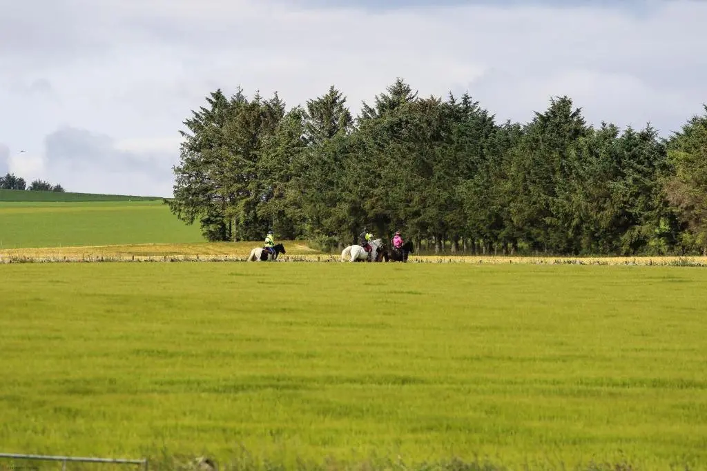a group of people riding horses in a field at Woodland Lodge in Huntly