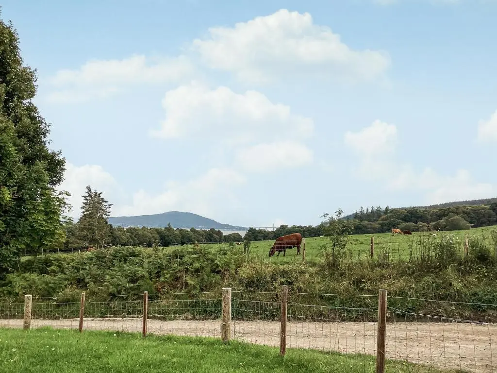 a cow grazing in a field with a fence at Bunchrew Farm Cottage in Inverness
