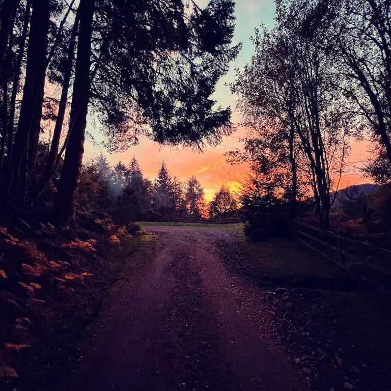 a dirt road with trees and a sunset in the background at Lodges On Loch Ness in Inverness