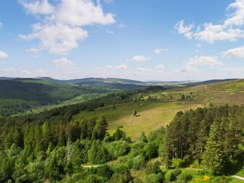 a view of a green valley with trees on a hill at The Carnegie Rooms At Aultnagar Lodge - Uk48666 in Lairg