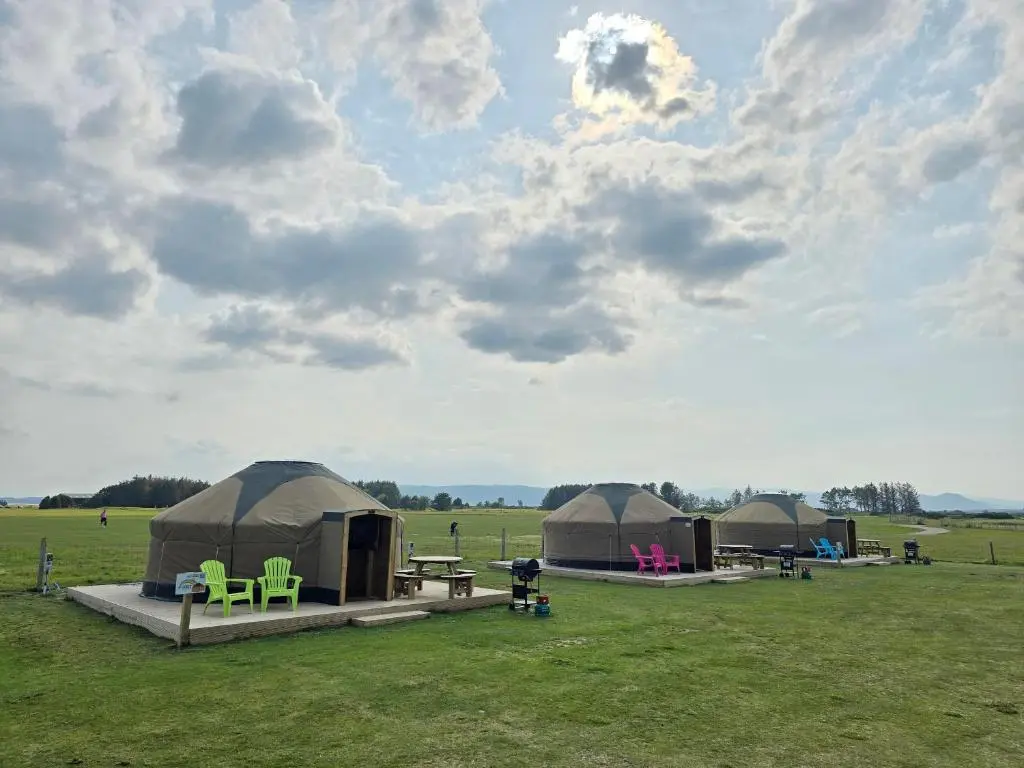 a group of three tents in a field at Rainbow's End Yurts in Dornoch