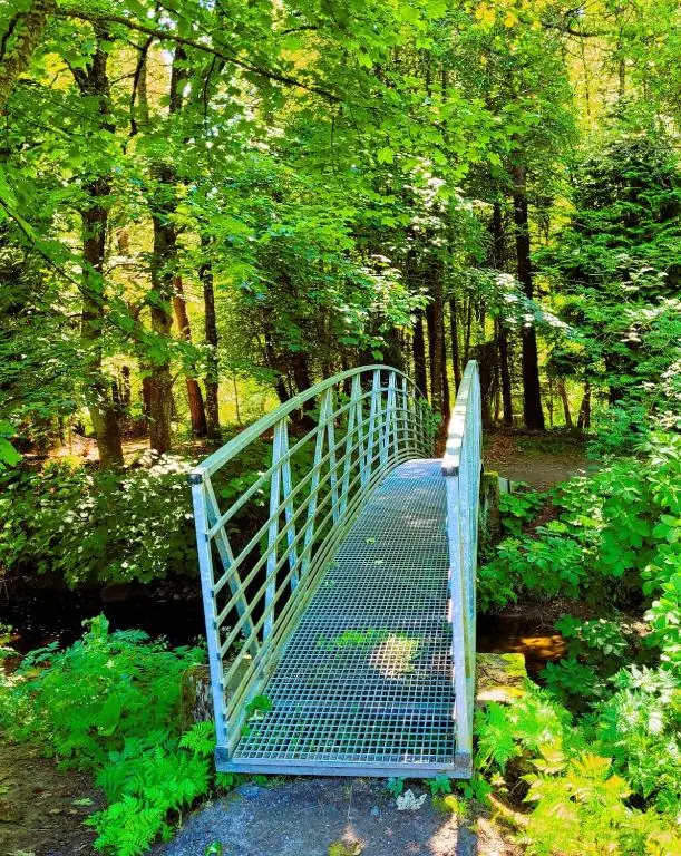 a blue bridge in the middle of a forest at Bespoke Luxury Self Catering Dog Friendly Accommodation in Archiestown