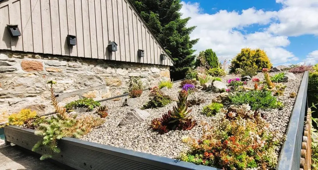 a garden in front of a building with plants at Bespoke Luxury Self Catering Dog Friendly Accommodation in Archiestown