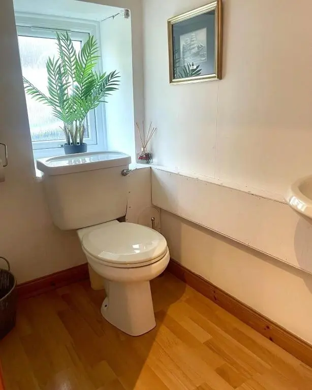 a bathroom with a toilet and a window with a plant at Beautiful 3 bedroom house short walk from the beach in Nairn