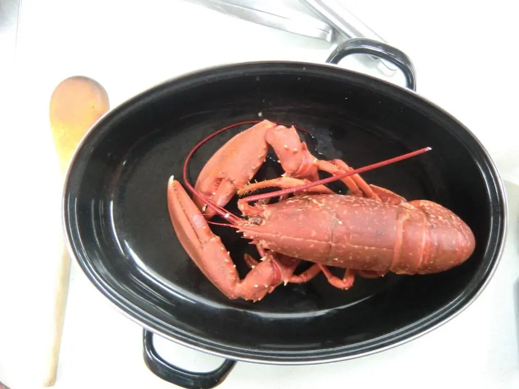 a cooked lobster in a black pan next to a spoon at Bright comfy home, sea views and big skies in Banff