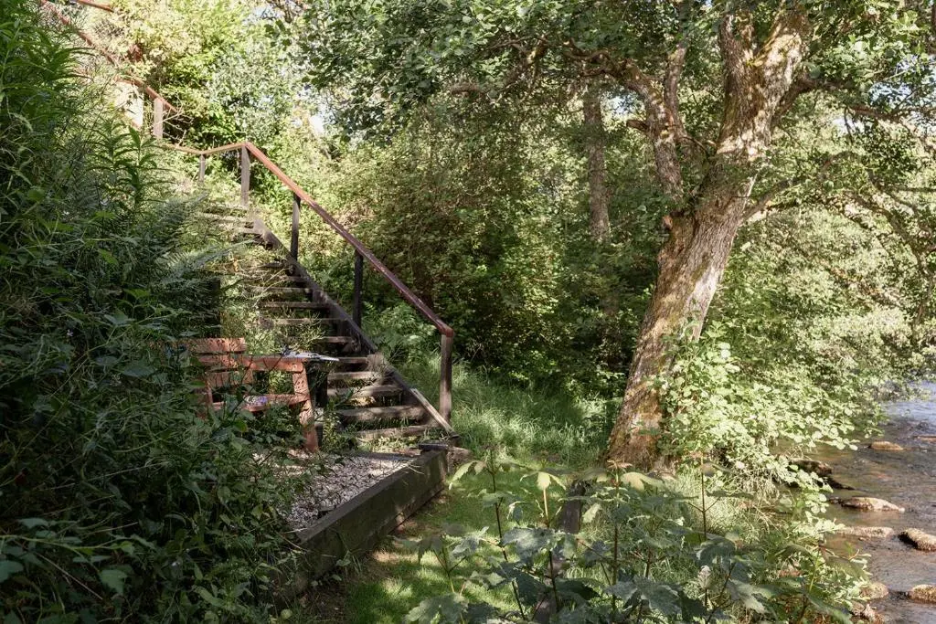 a wooden staircase in a forest with a tree at The Old Smithy - Seasgair Lodges in Nethy Bridge