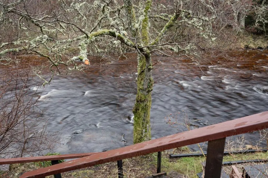 a tree next to a river next to a fence at The Old Smithy - Seasgair Lodges in Nethy Bridge