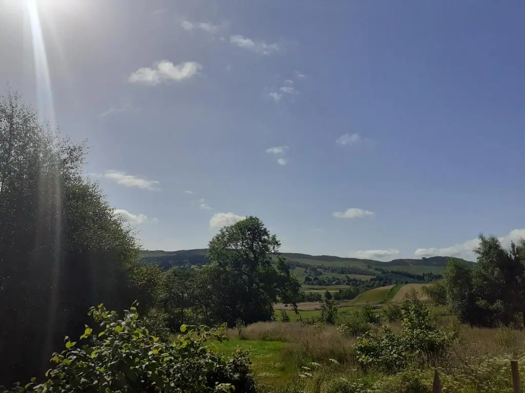 a view of a field with trees and the sky at Dalnoid Cottages & Treehouses Nr Glenshee in Glenshee