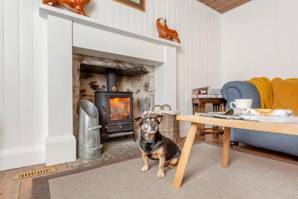 a dog sitting in a living room with a fireplace at 2 Bed in Ardgay oc-w30780 in Achnahanat