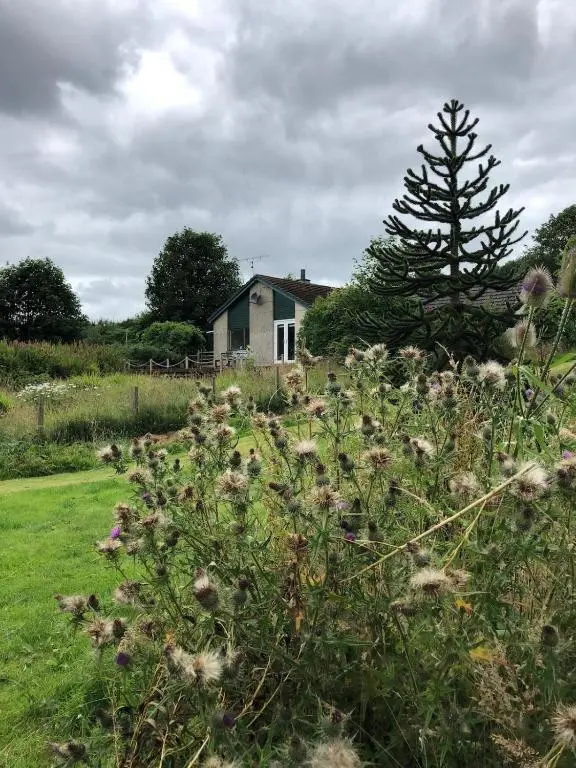 a house and a tree in a field with flowers at Canal Side Cottage,on the banks of the Caledonian Canal in Inverness