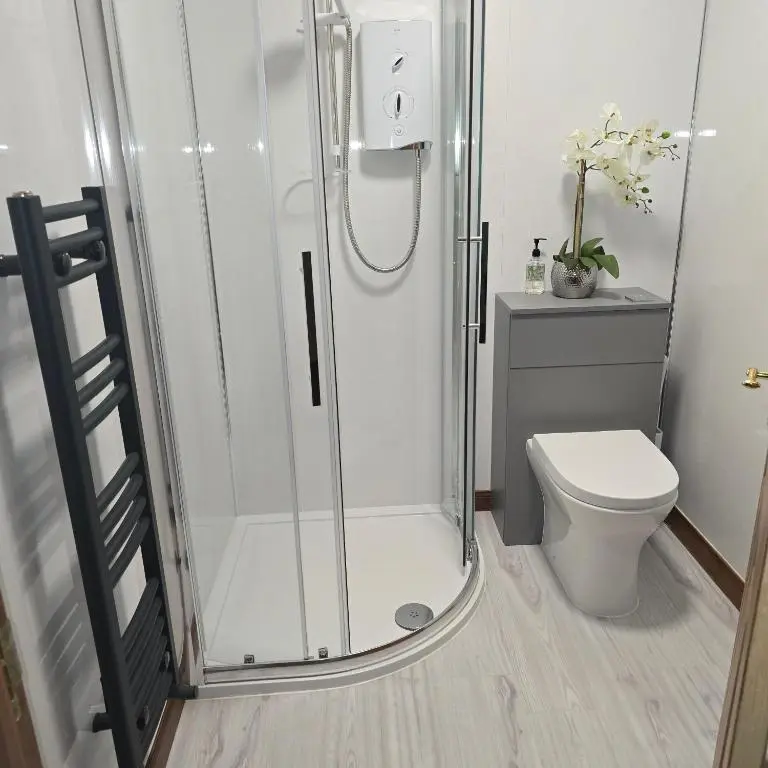 a bathroom with a shower and a toilet at Dail Daraich in Munlochy