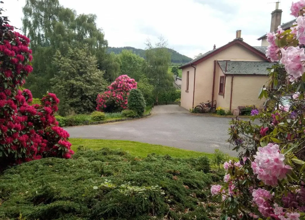 a house with pink flowers and a driveway at Strathpeffer Holiday Cottages in Strathpeffer