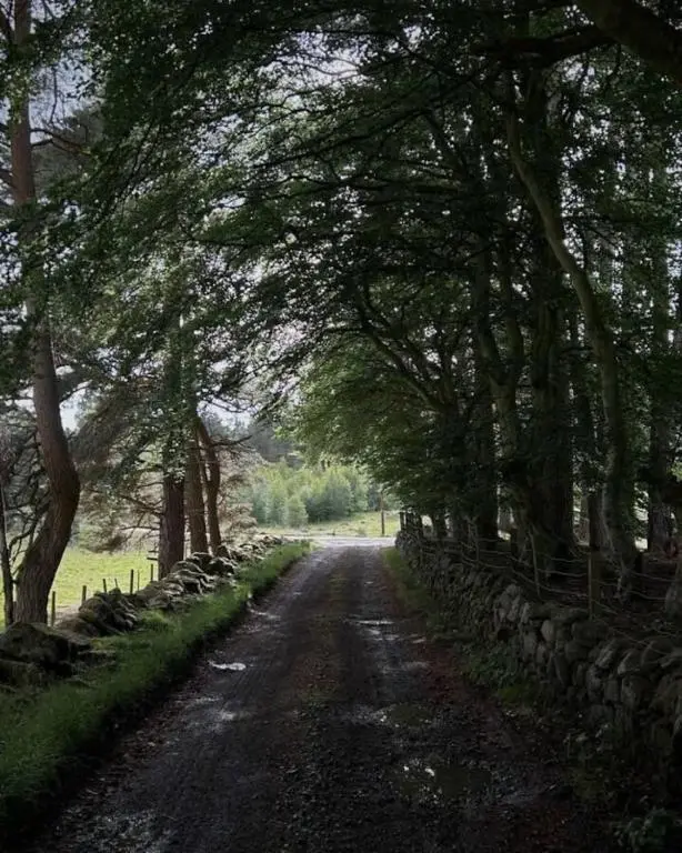 a dirt road lined with trees and a fence at Old school - Charming Historic Cottage for Seven in Ballater