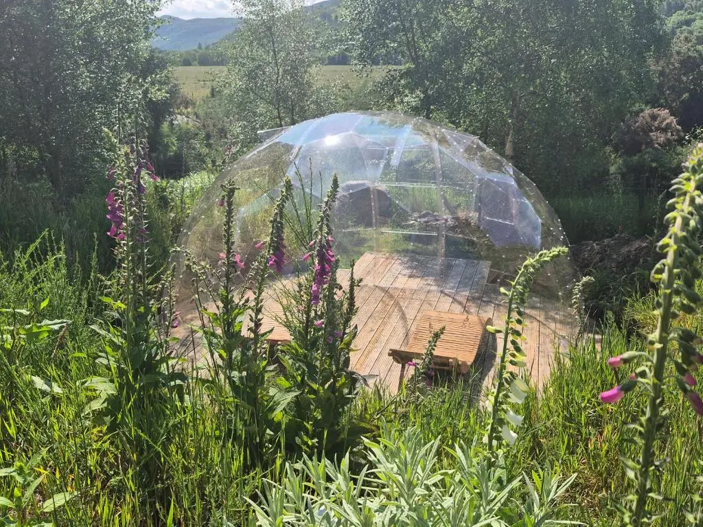 a glass dome in the middle of a garden at Little Getaway in the Highlands, private sauna and stargazing geodome in Garve