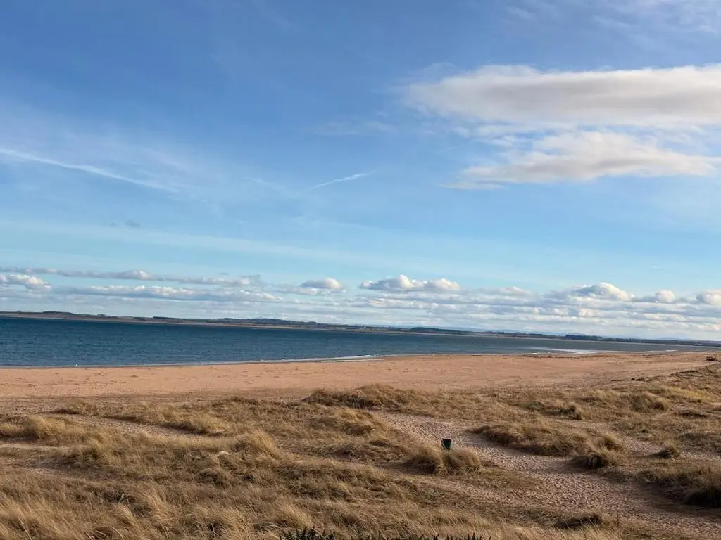 a beach with a person standing on the sand at Cosy Carnegie Cottage close to Dornoch Golf Course in Dornoch