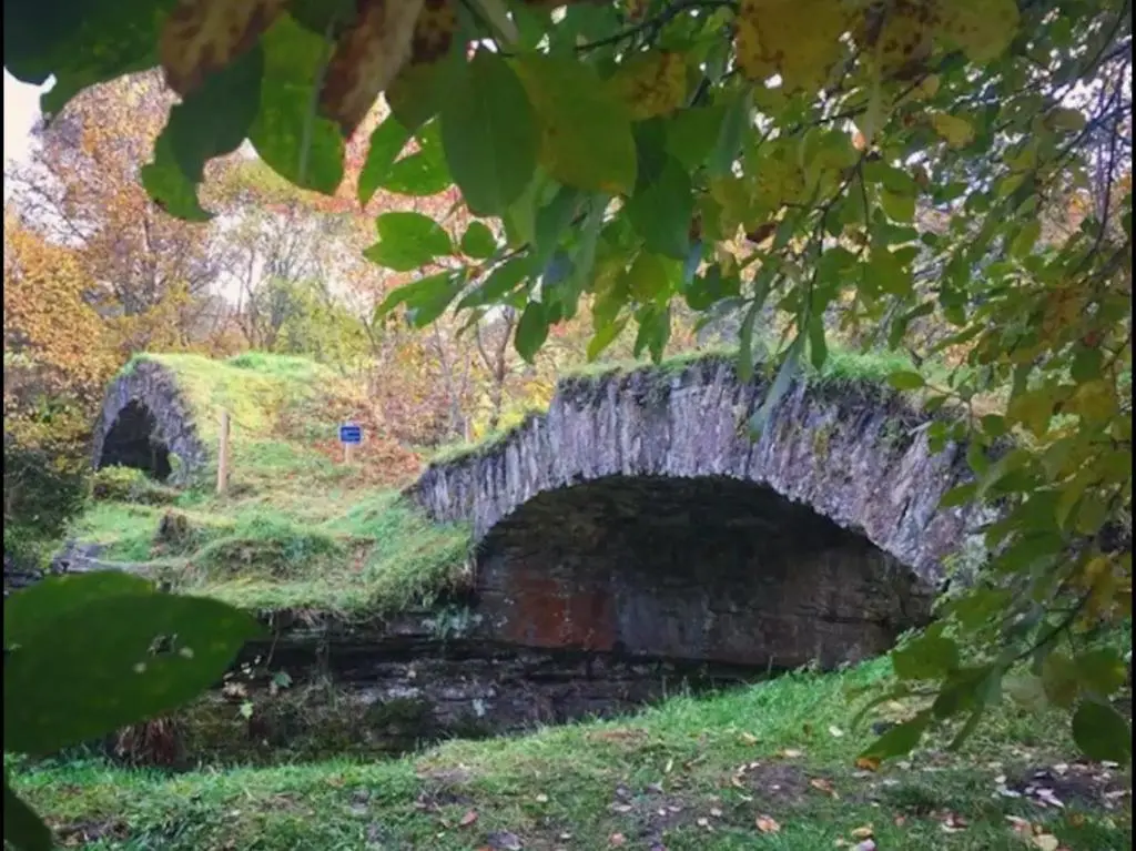 an old stone bridge in a field with green grass at Bridge Cottage in Glenlivet