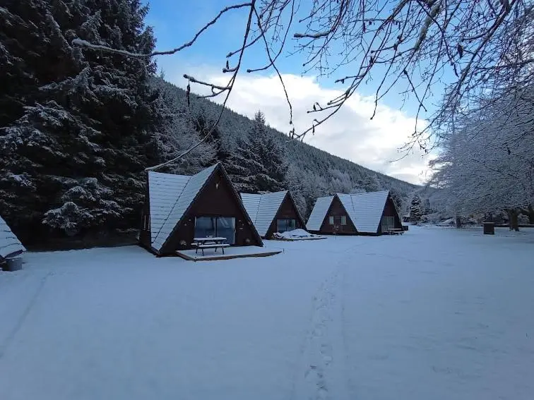 a row of lodges in a snow covered field at True North Lodge - A cosy wee highland Getaway in Spean Bridge