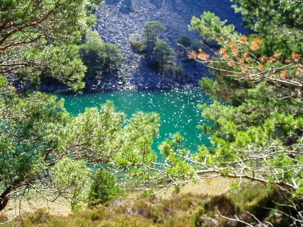 a view of a green lake through the trees at Heath Cottage in Boat of Garten