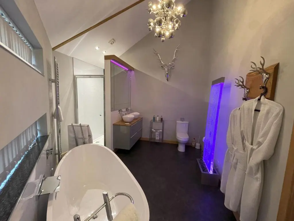 a bathroom with a sink and a toilet and a chandelier at Silver Birch Treehouse in Glenshee