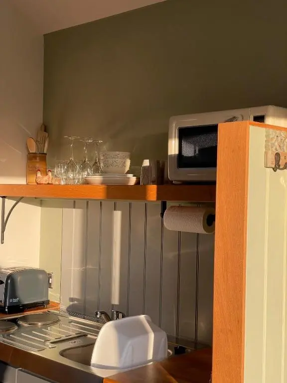 a kitchen with a stove and a microwave on a shelf at The Wee Knoll in Invergarry