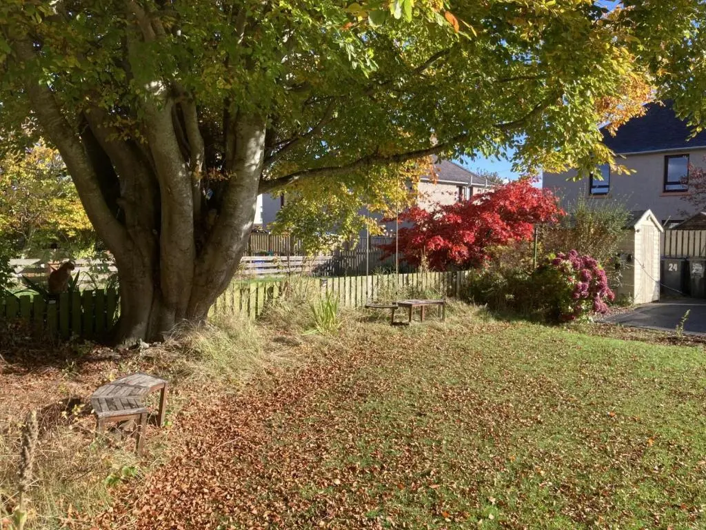a park with two benches under a tree at Inverness Haven - with Parking and Garden in Dalneigh