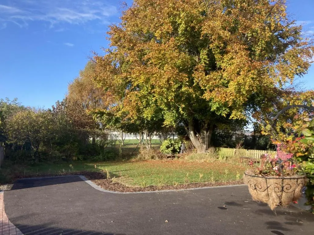 a driveway with a large tree and a flower pot at Inverness Haven - with Parking and Garden in Dalneigh