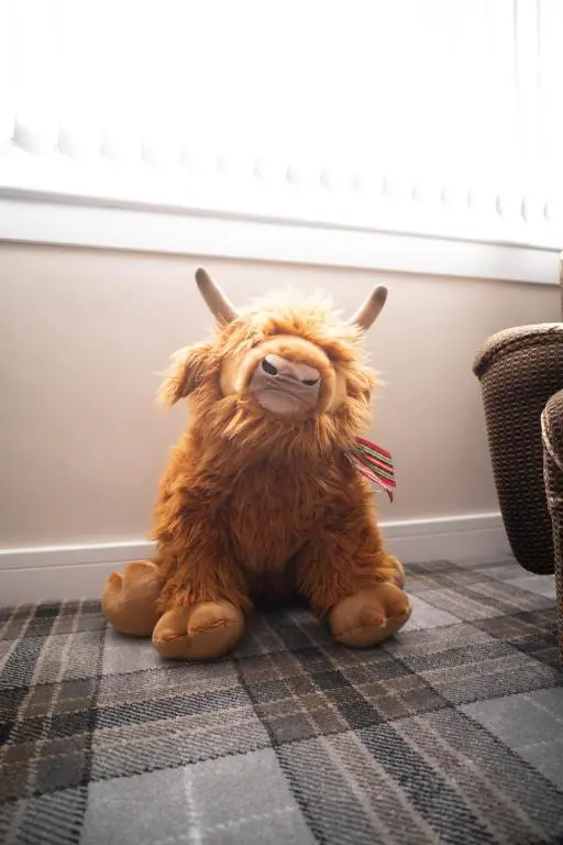 a stuffed animal animal sitting on the floor at Royal Apartment in Inverness