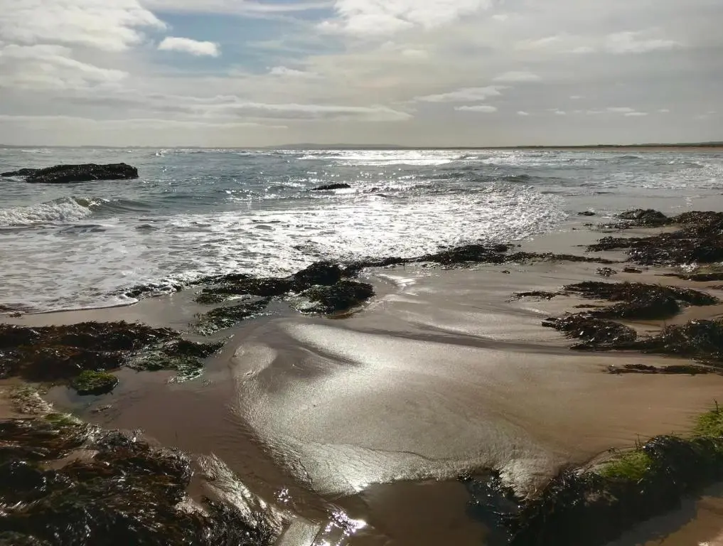 a beach with water and rocks and the ocean at Seabank House Hotel in Nairn