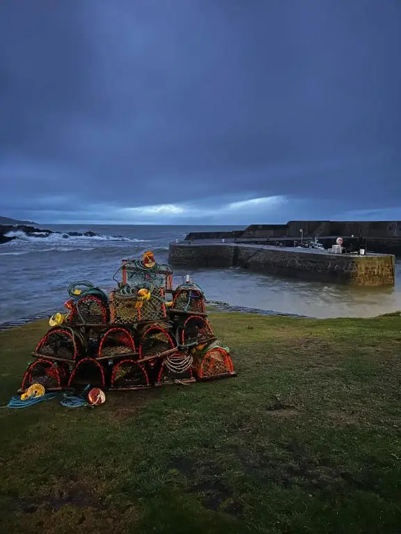 a sculpture of a train on the grass near the water at Luxury Coastal Cottage in Portsoy