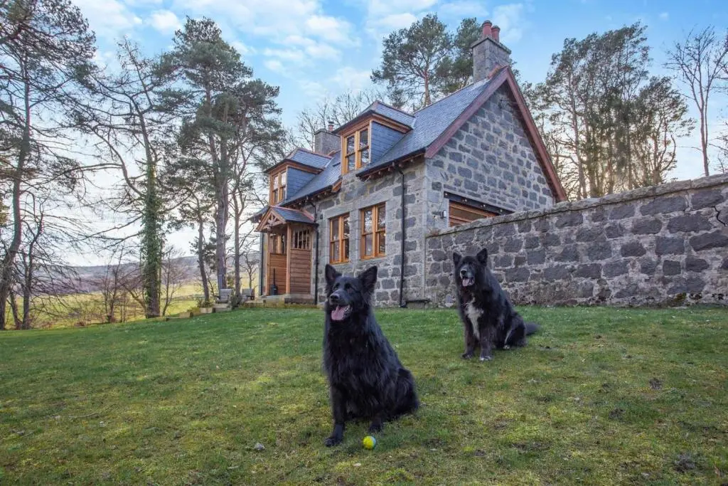 two dogs sitting in the grass in front of a house at 3 Bed in Huntly oc-g31733 in Huntly