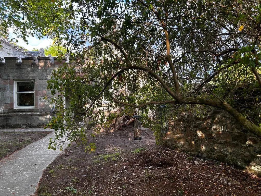 a large tree in front of a building at Clashmore House Garden Cottage Dornoch in Dornoch