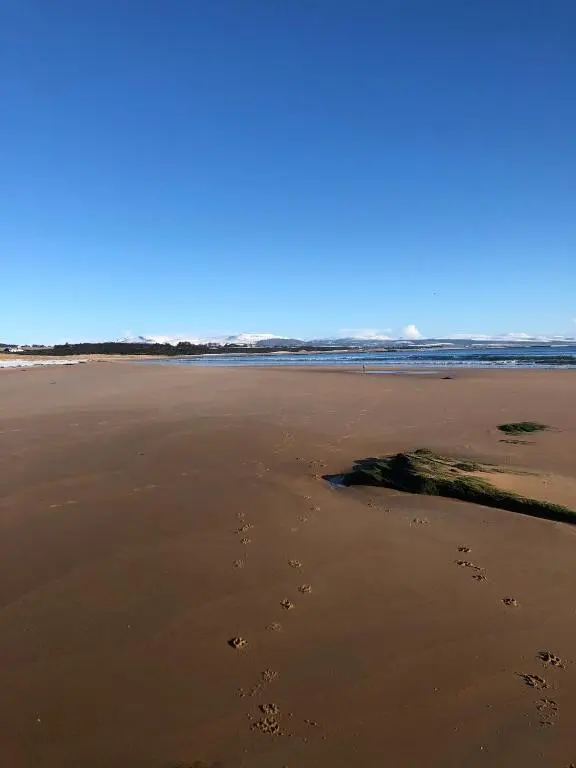a group of footprints in the sand on a beach at Clashmore House Garden Cottage Dornoch in Dornoch