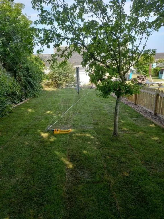 a garden with a spiderweb on the grass next to a tree at Cosy fisherman cottage in seaside village in Shandwick