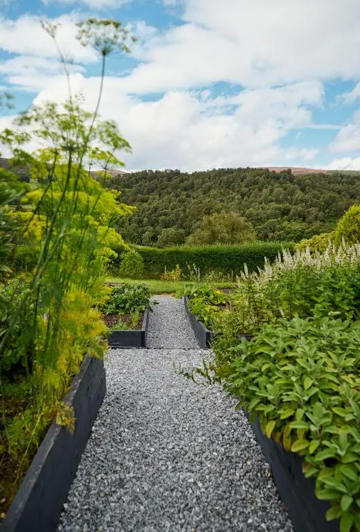a gravel path in a garden with plants at Old Manse of Craggan in Glenlivet