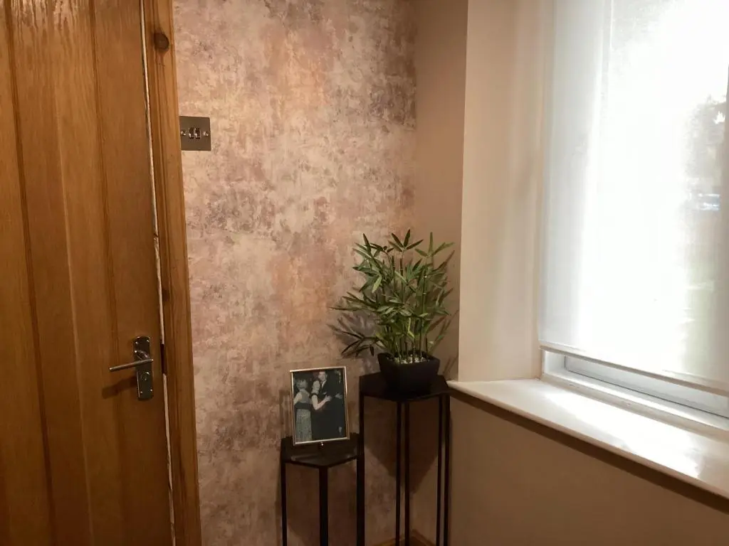 a plant sitting on a shelf next to a window at Charlies in Huntly