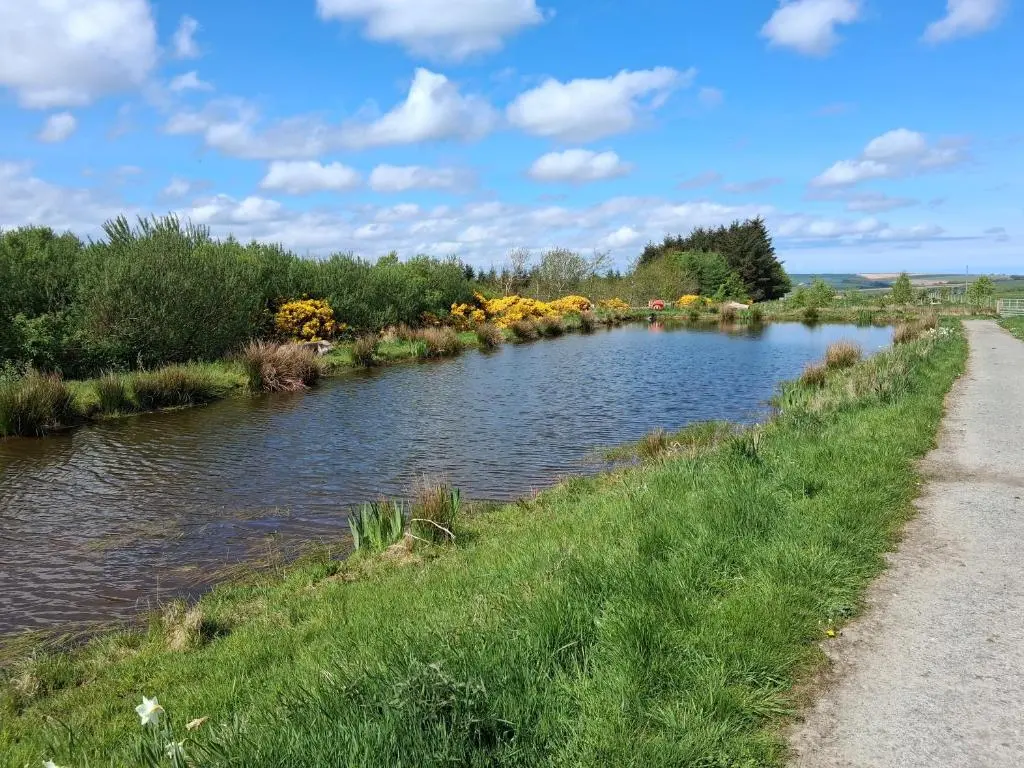 a river next to a road with flowers on it at Cabin View in Cuminestown