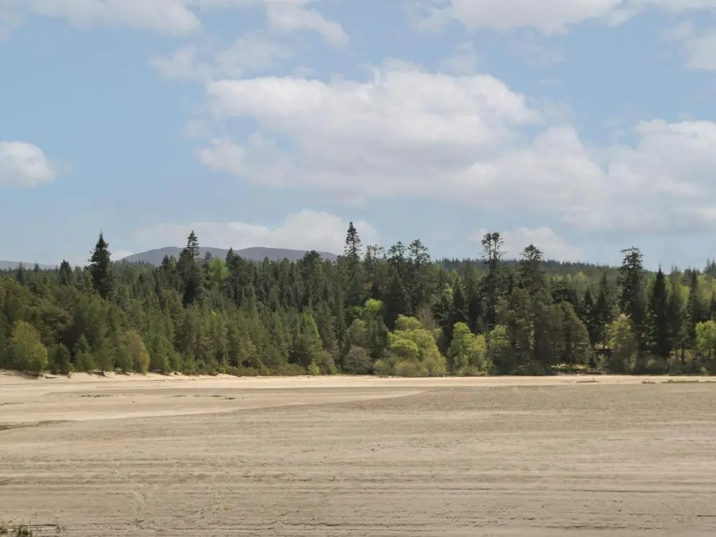 an empty field with trees in the background at Coraldie in Newtonmore