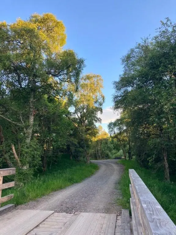 a dirt road with a wooden bridge and trees at Luxury Pod 3 in Bonar Bridge