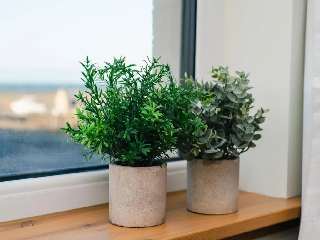 two potted plants sitting on a window sill at Apartment Shore Street by Interhome in Lossiemouth